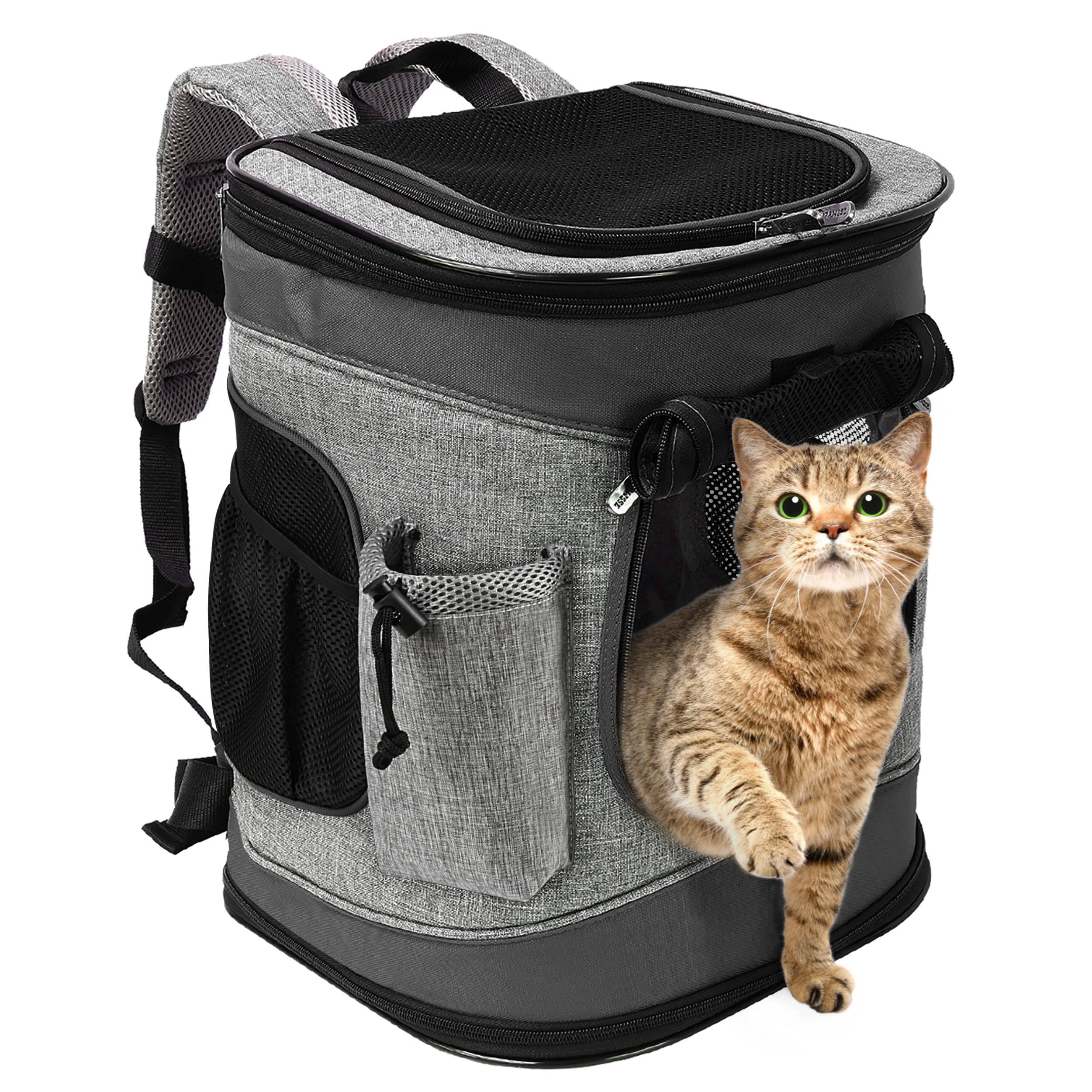 Pet backpack